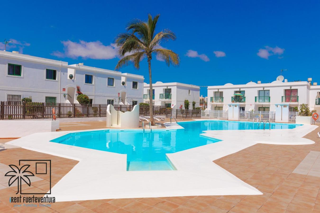 דירות Passion Pool View & Wifi By Irent Fuerteventura קורלחו מראה חיצוני תמונה